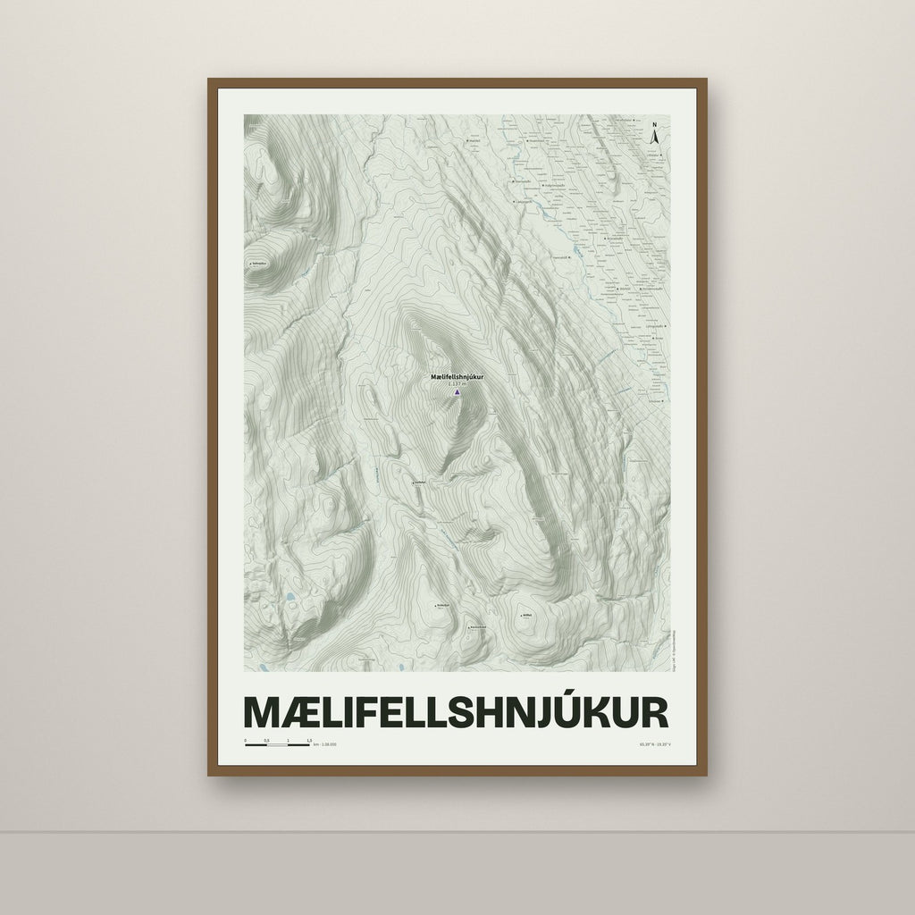 Mælifellshnjúkur – Mosi, lúpínufjólublár