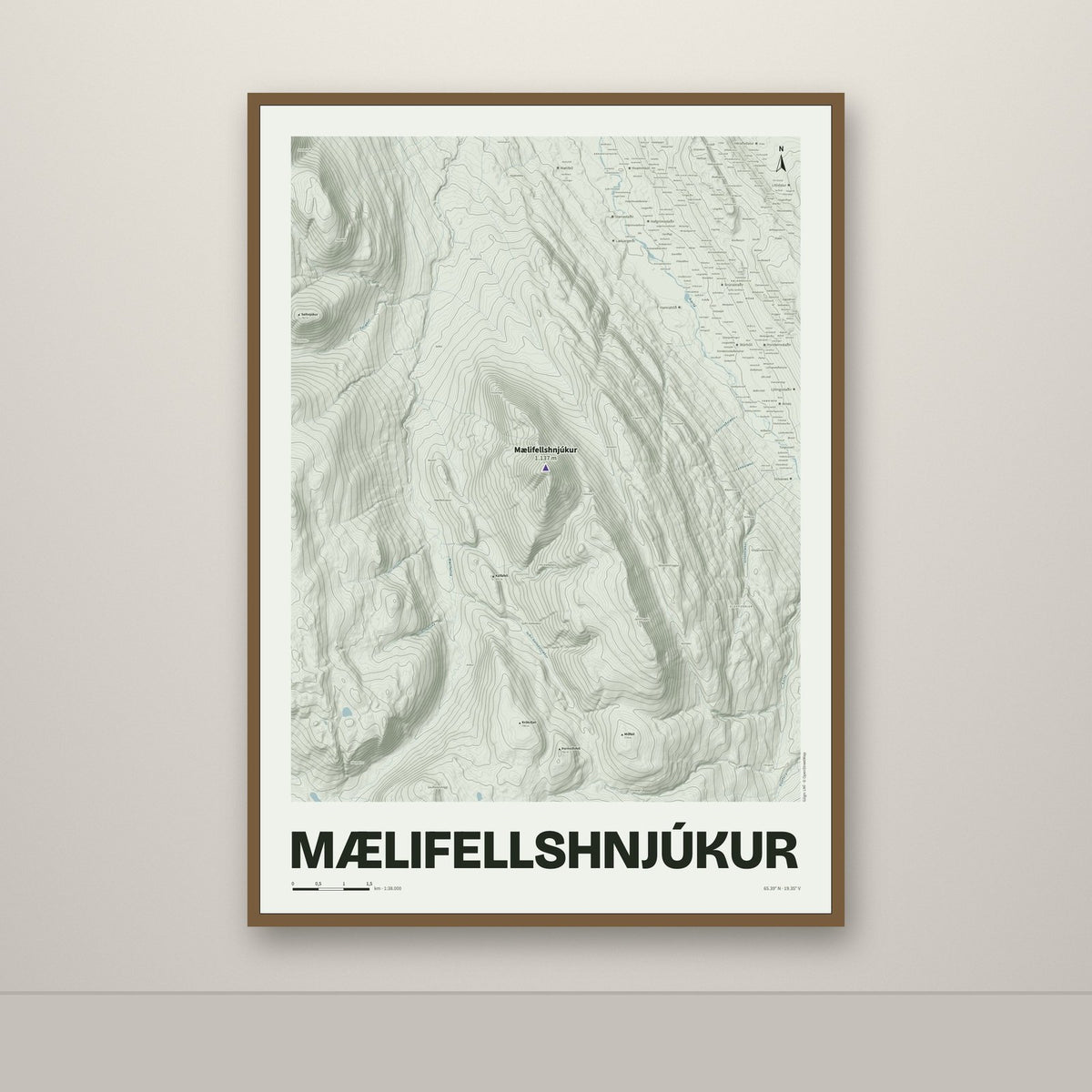 Mælifellshnjúkur – Mosi, lúpínufjólublár
