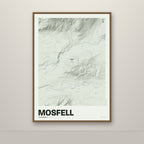 Mosfell – Mosi, lúpínufjólublár