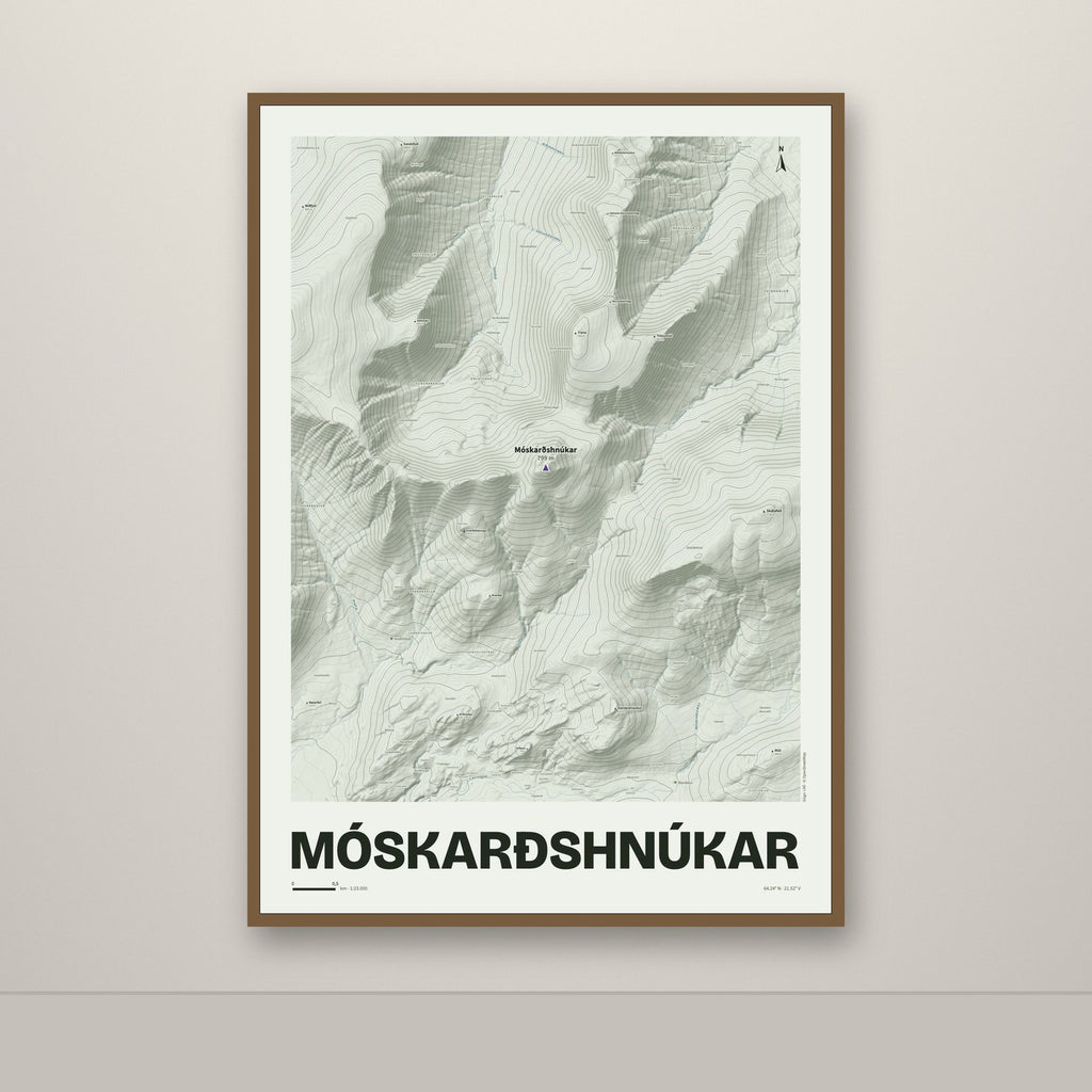 Móskarðshnúkar – Mosi, lúpínufjólublár