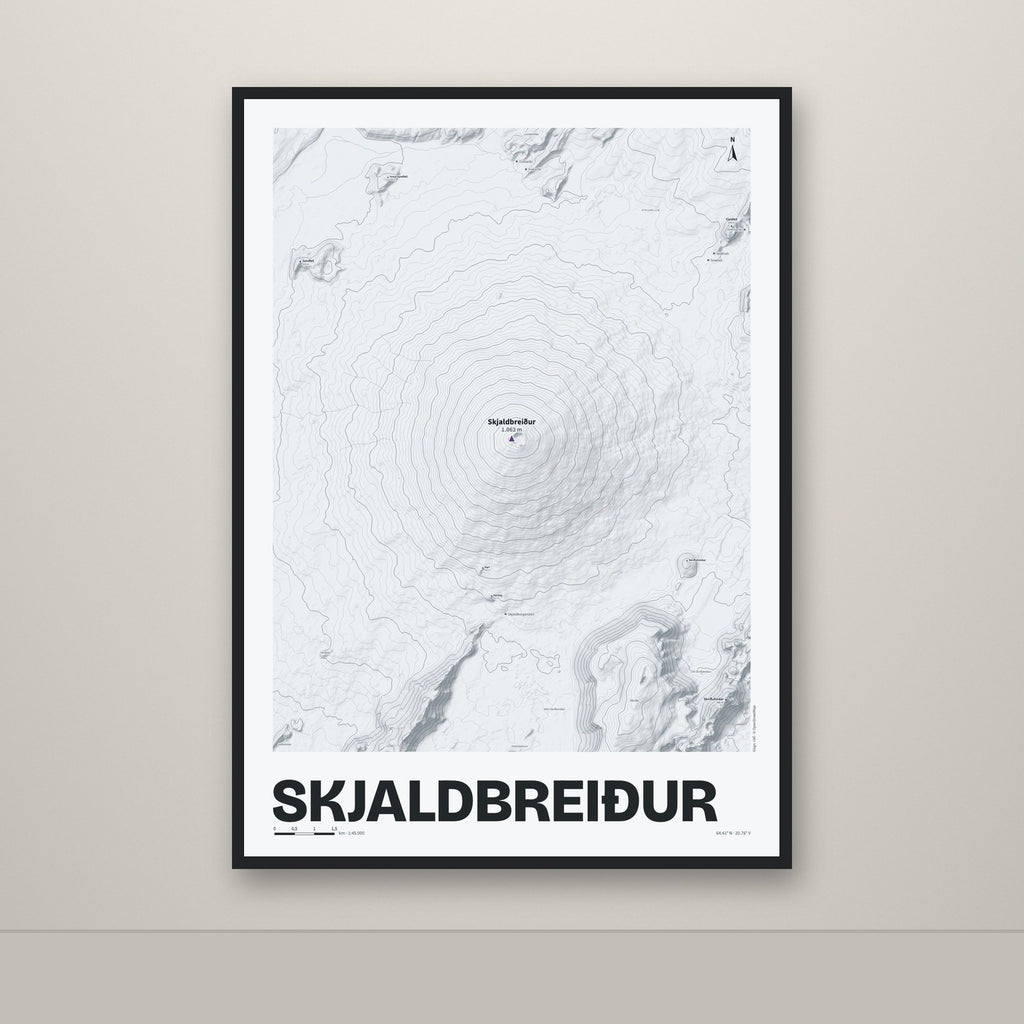 Skjaldbreiður – Ljóst, lúpínufjólublár