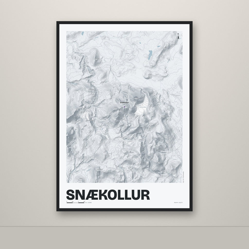 Snækollur – Ljóst, lúpínufjólublár