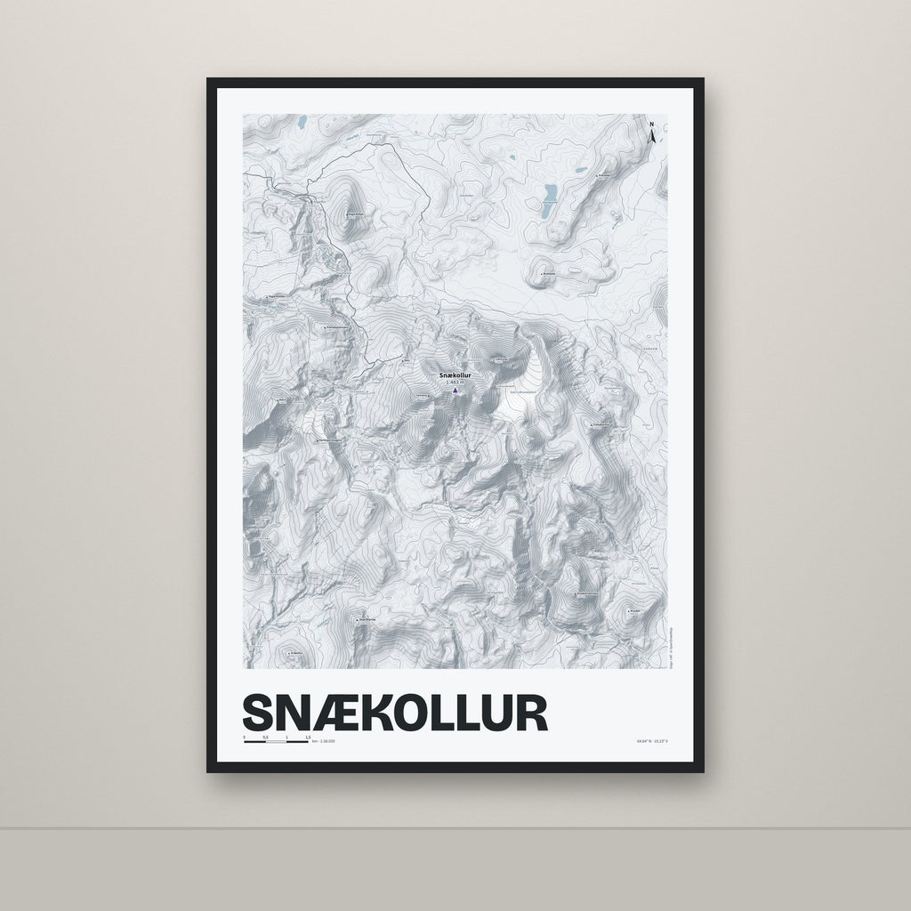 Snækollur – Ljóst, lúpínufjólublár
