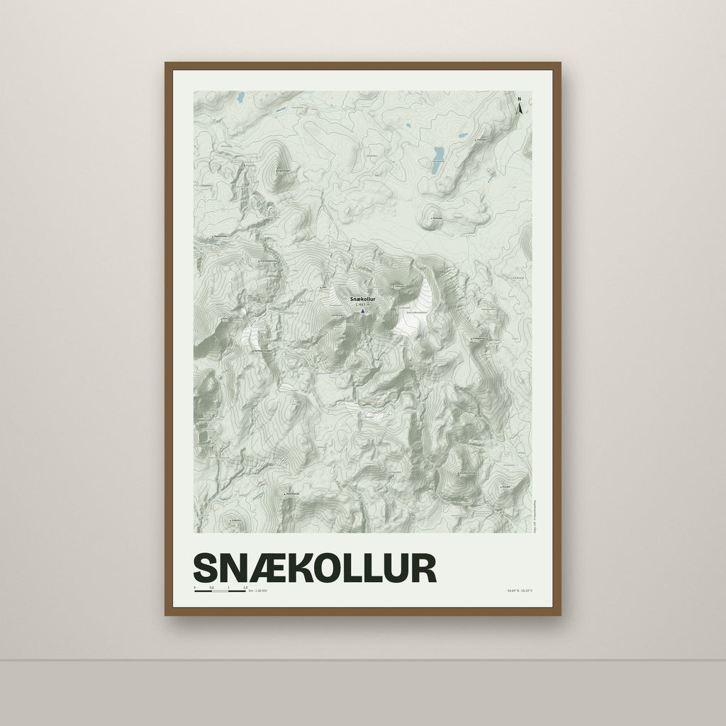 Snækollur – Mosi, lúpínufjólublár