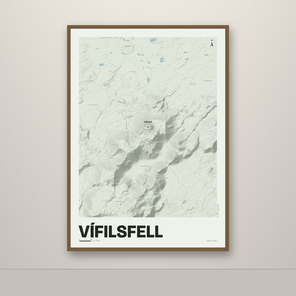 Vífilsfell – Mosi, lúpínufjólublár