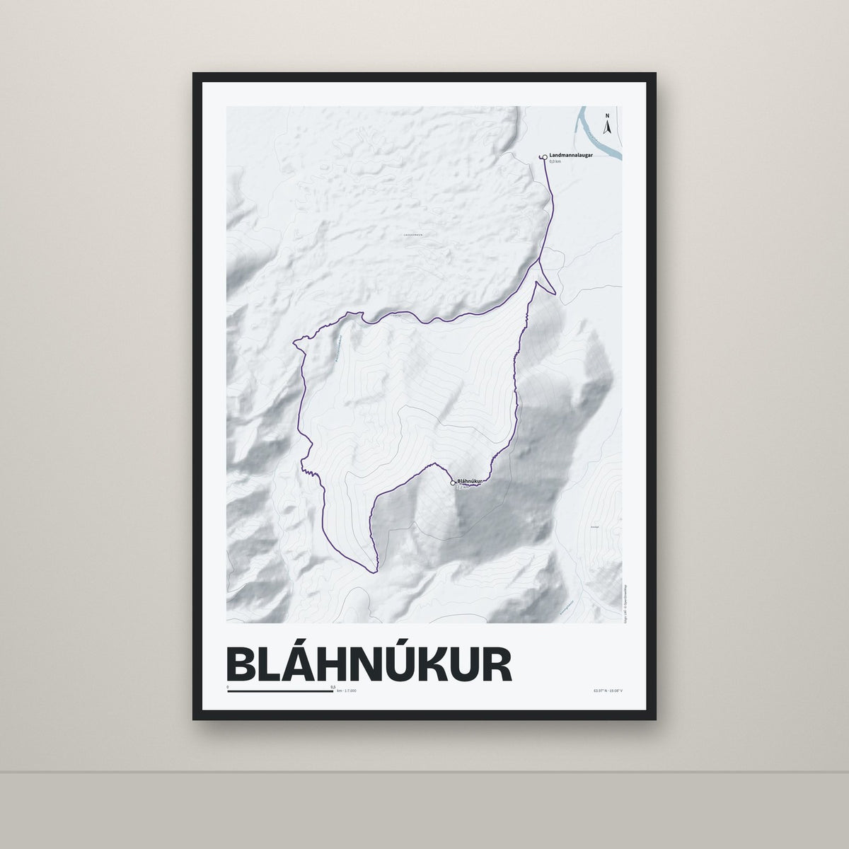 Bláhnúkur – Ljóst, lúpínufjólublár