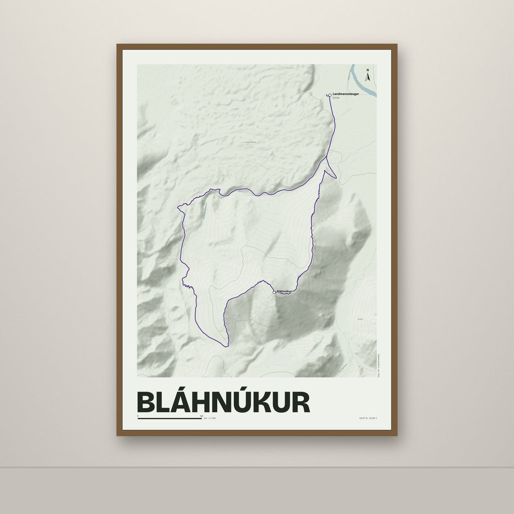 Bláhnúkur – Mosi, lúpínufjólublár