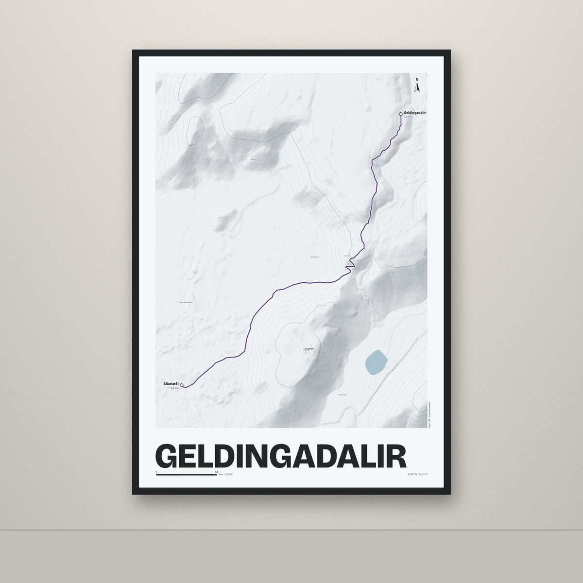 Geldingadalir – Ljóst, lúpínufjólublár