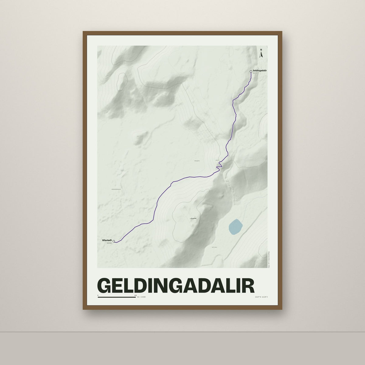 Geldingadalir – Mosi, lúpínufjólublár