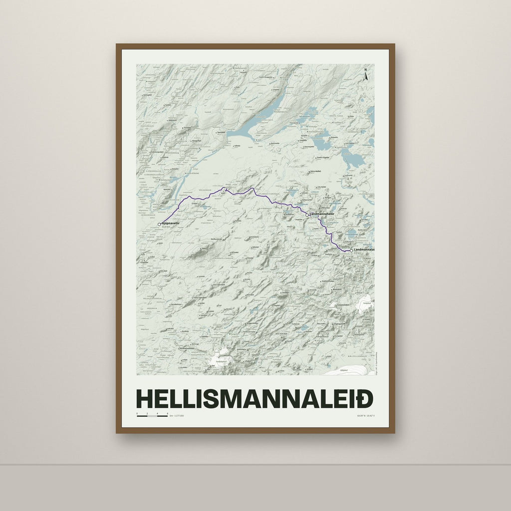 Hellismannaleið – Mosi, lúpínufjólublár