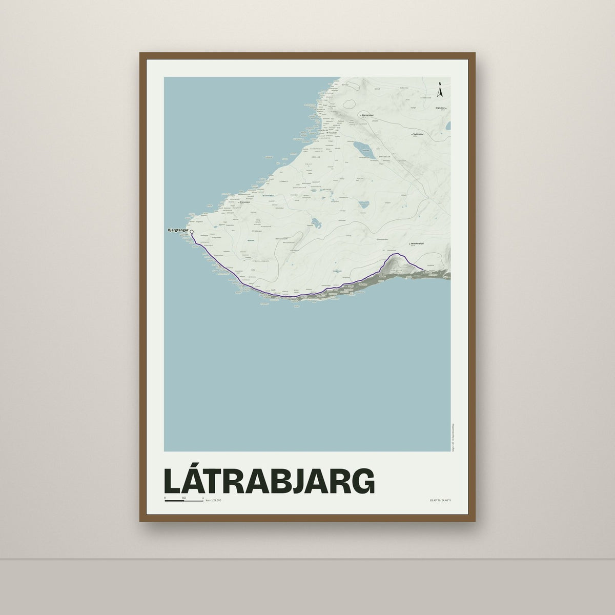 Látrabjarg – Mosi, lúpínufjólublár