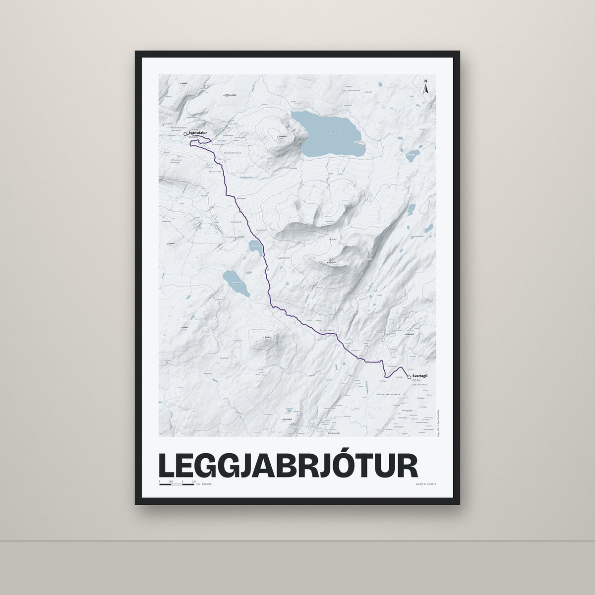 Leggjabrjótur – Ljóst, lúpínufjólublár