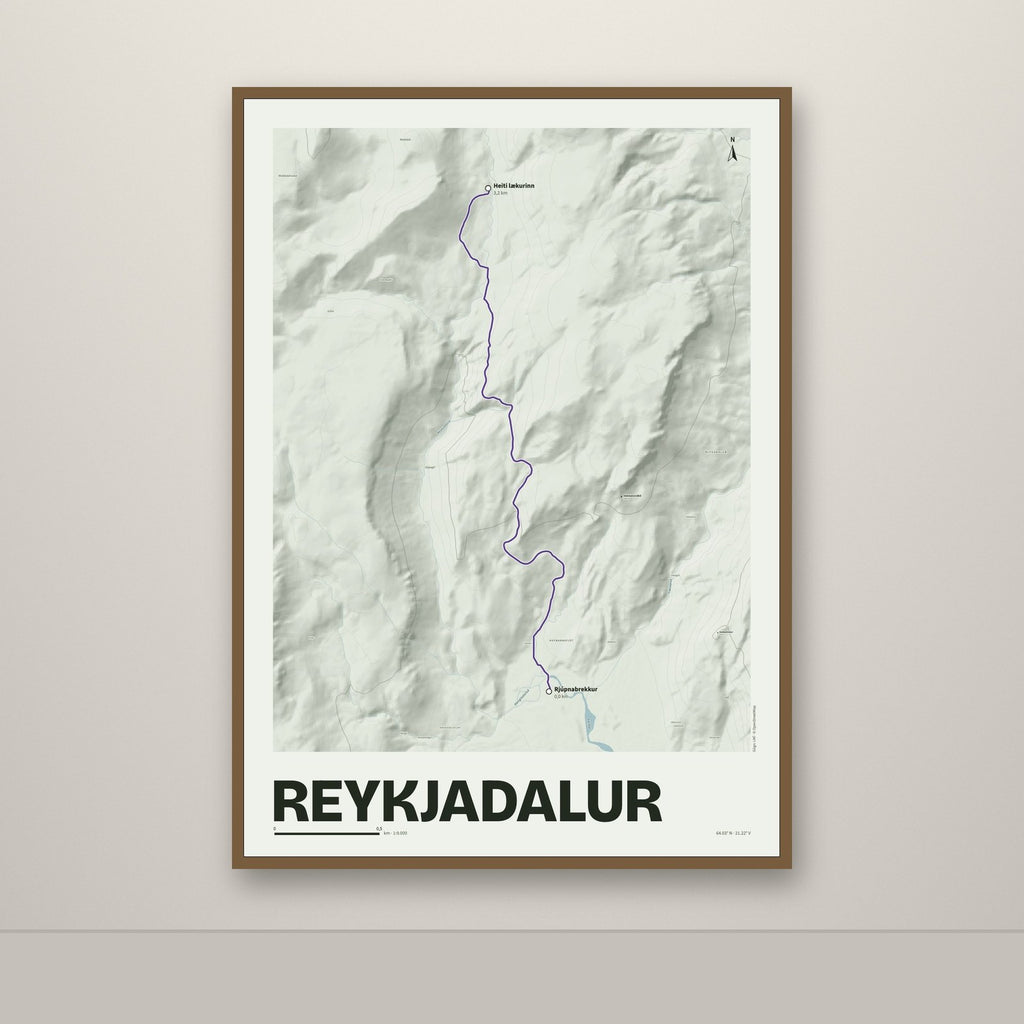 Reykjadalur – Mosi, lúpínufjólublár