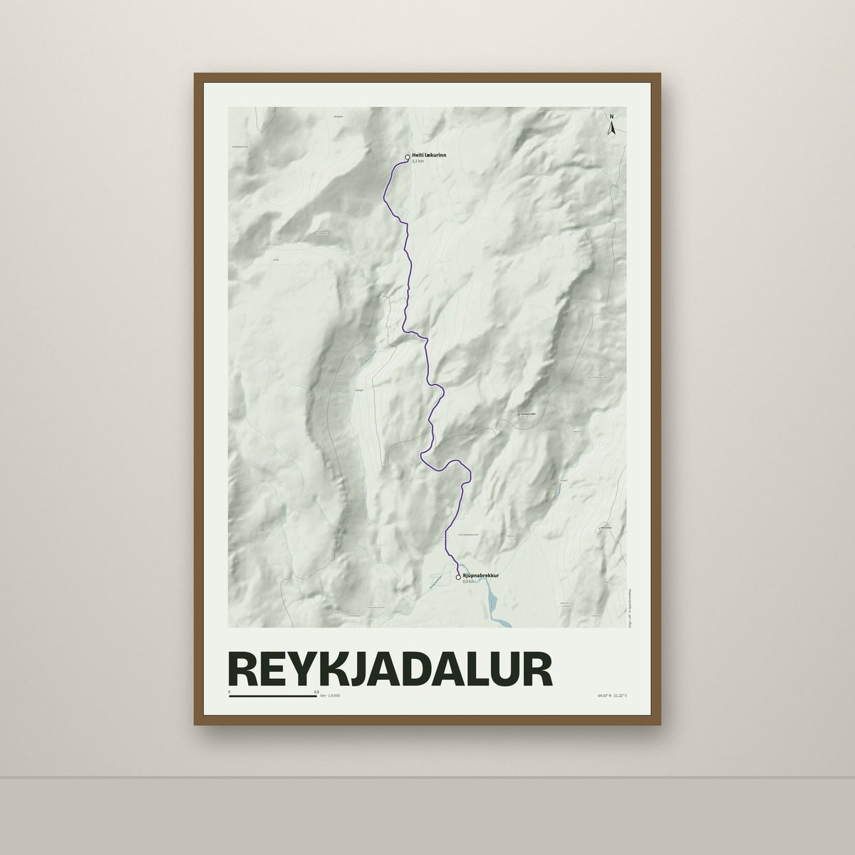 Reykjadalur – Mosi, lúpínufjólublár