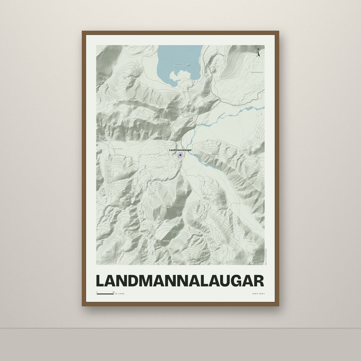 Landmannalaugar – Mosi, lúpínufjólublár