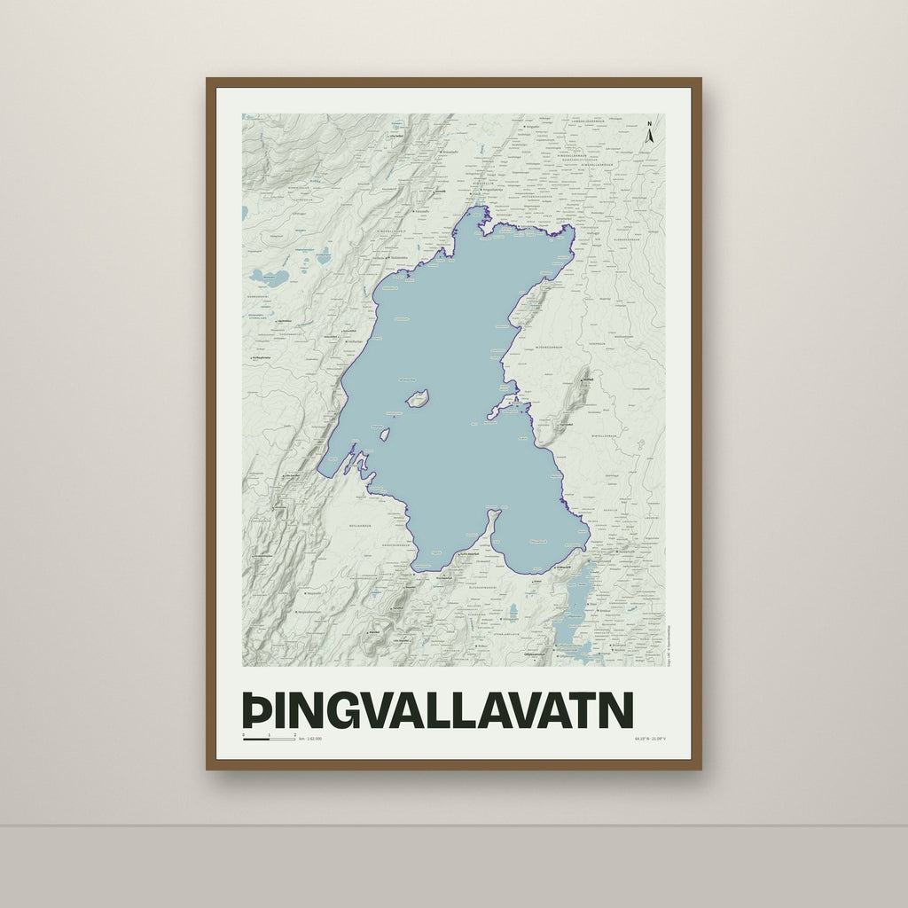 Þingvallavatn – Mosi, lúpínufjólublár