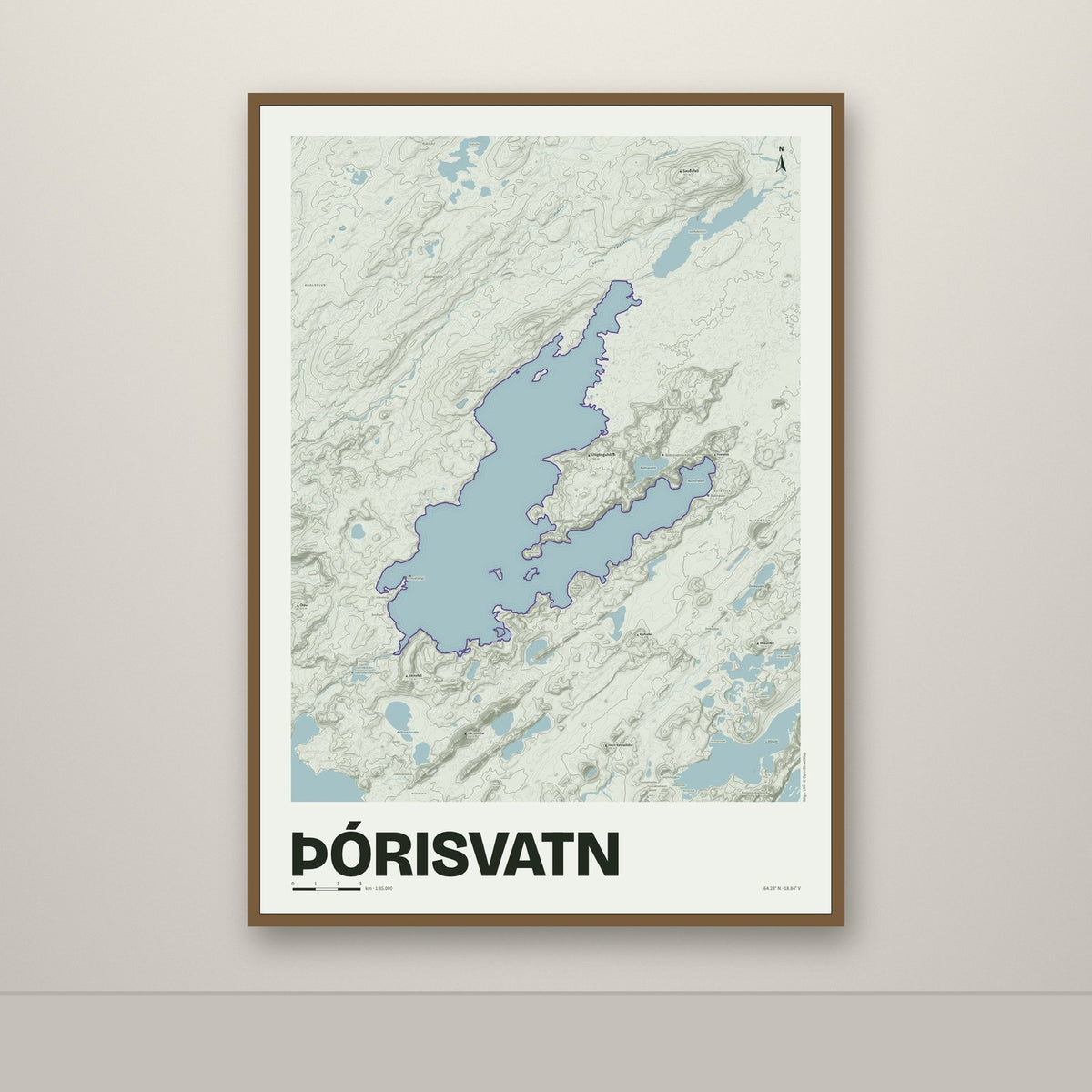 Þórisvatn – Mosi, lúpínufjólublár