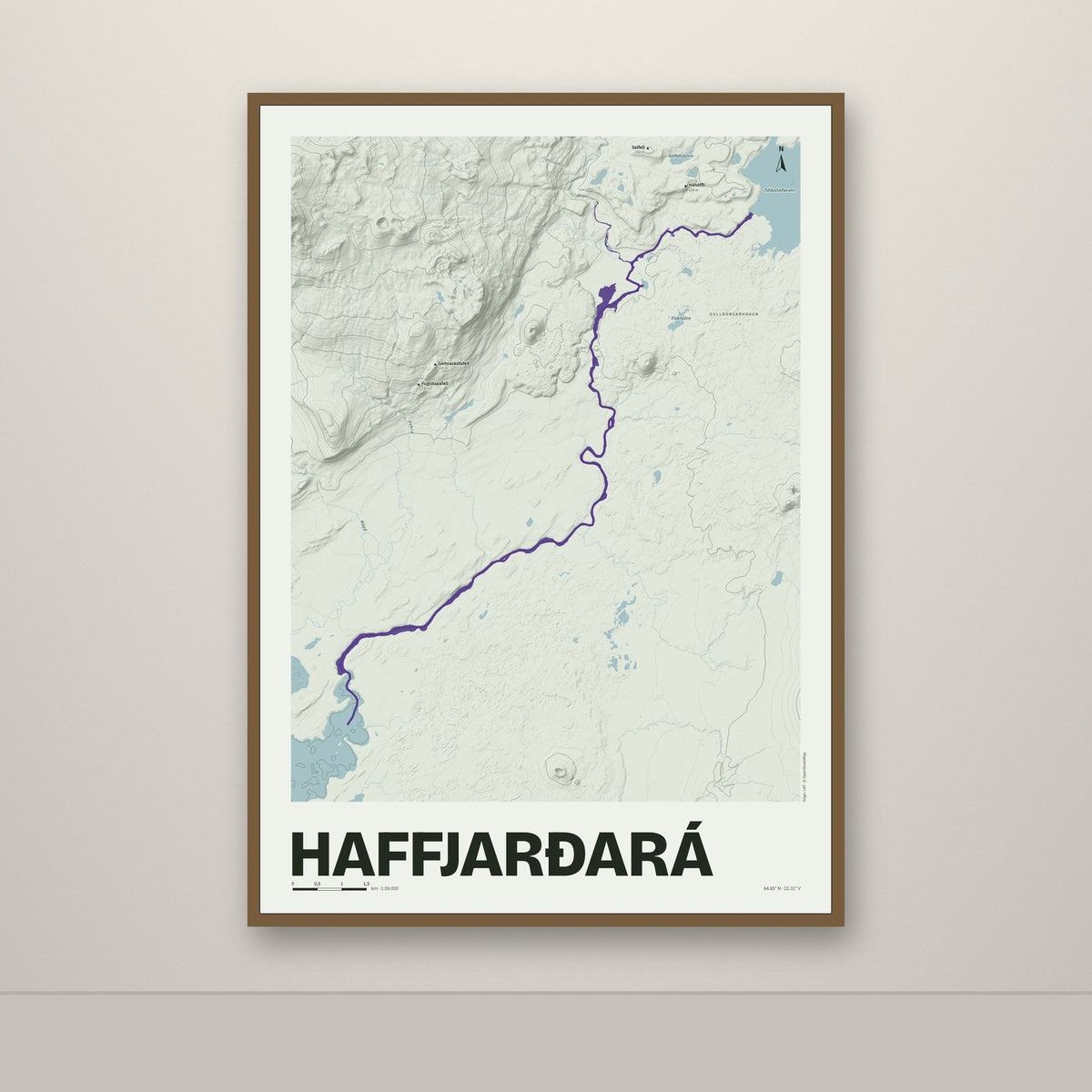 Haffjarðará – Mosi, lúpínufjólublár