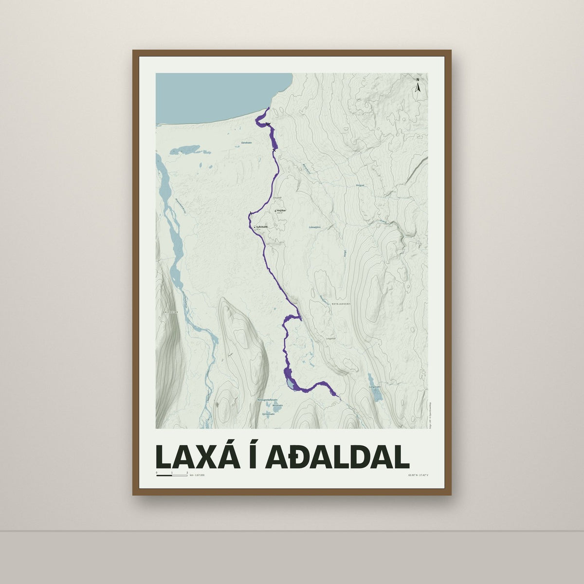 Laxá í Aðaldal – Mosi, lúpínufjólublár