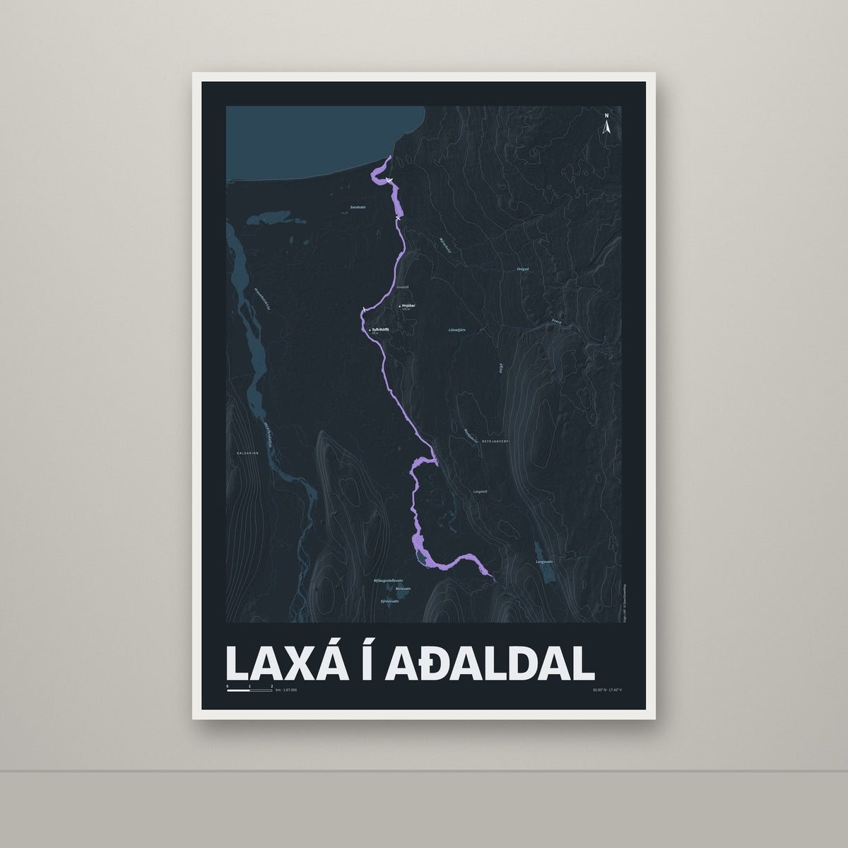 Laxá í Aðaldal – Nótt, lúpínufjólublár