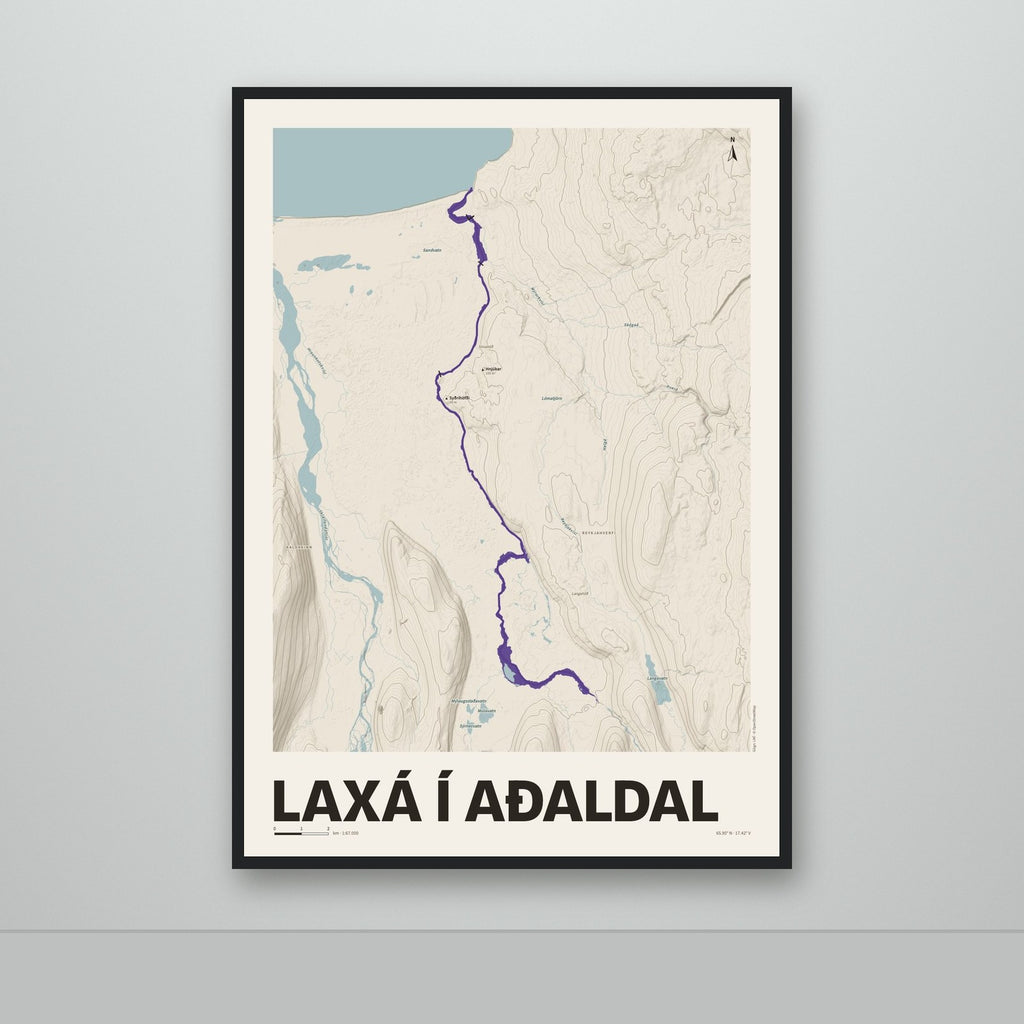 Laxá í Aðaldal – Sandur, lúpínufjólublár