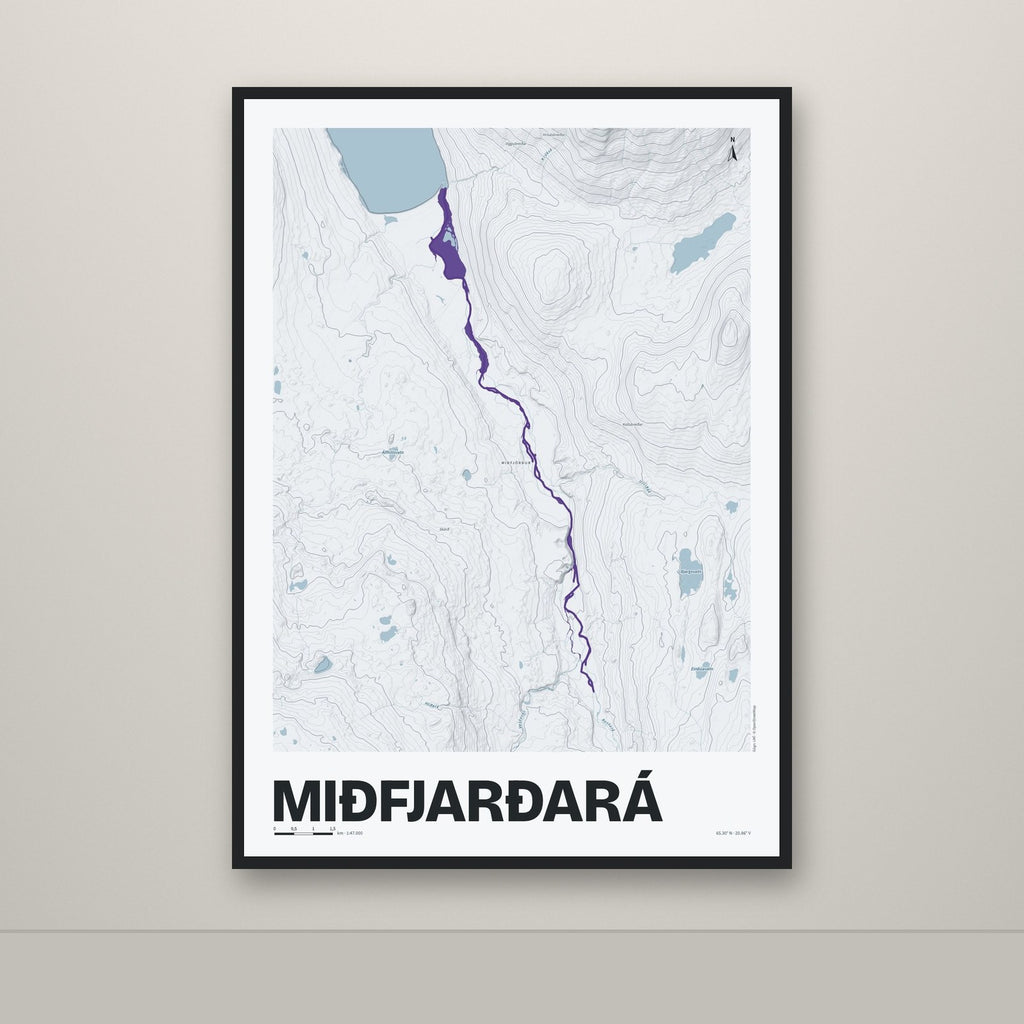 Miðfjarðará – Ljóst, lúpínufjólublár