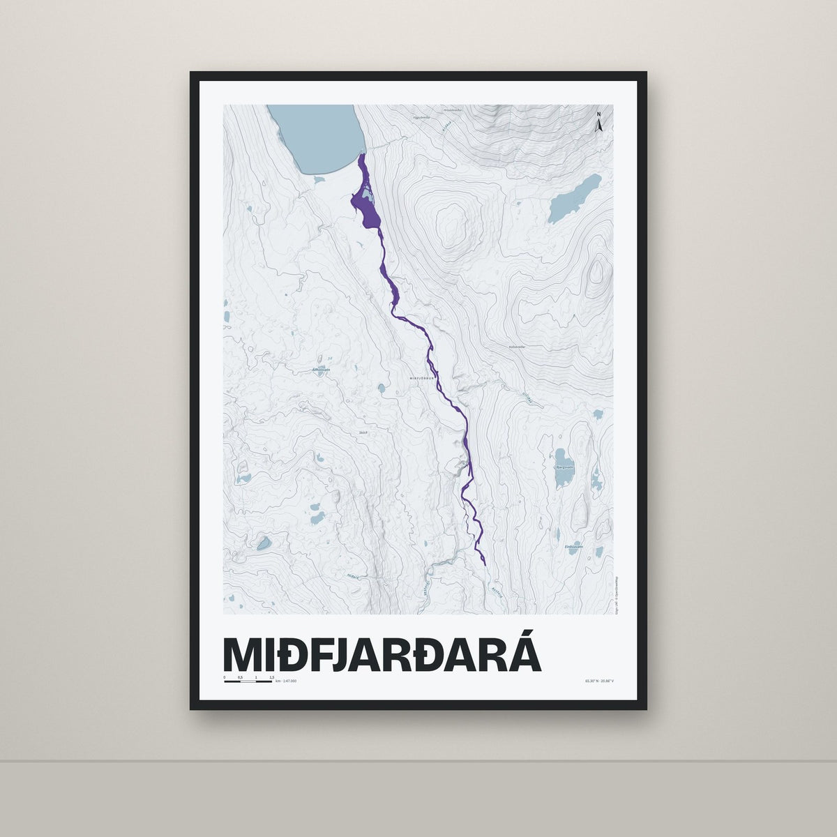 Miðfjarðará – Ljóst, lúpínufjólublár