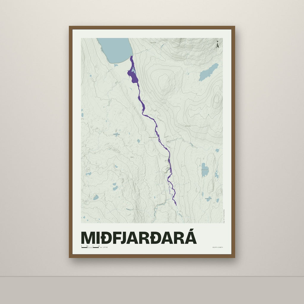 Miðfjarðará – Mosi, lúpínufjólublár