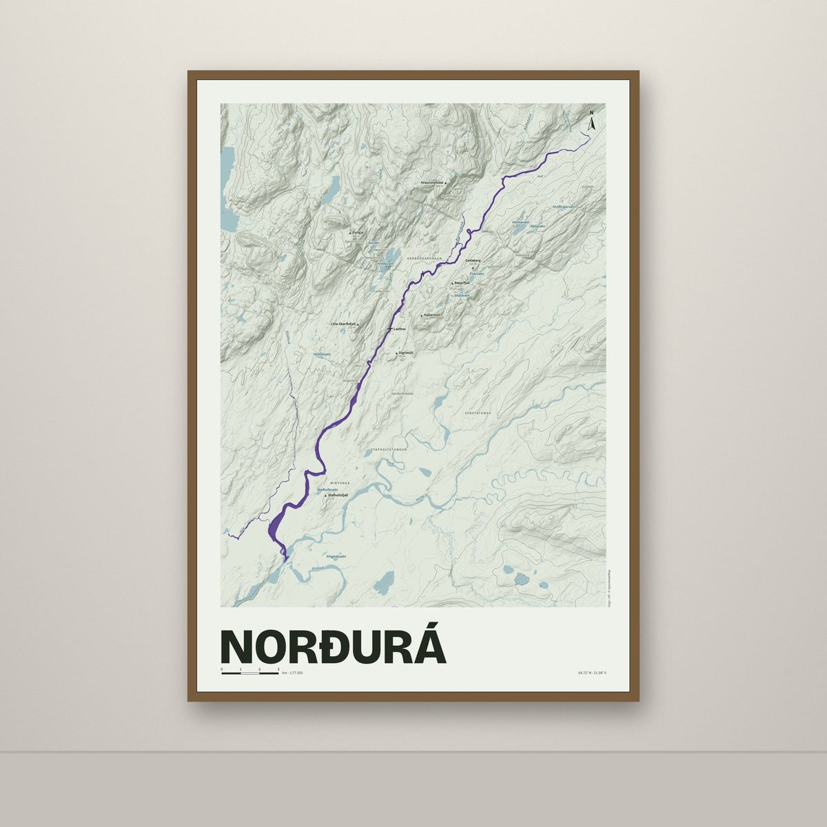 Norðurá – Mosi, lúpínufjólublár